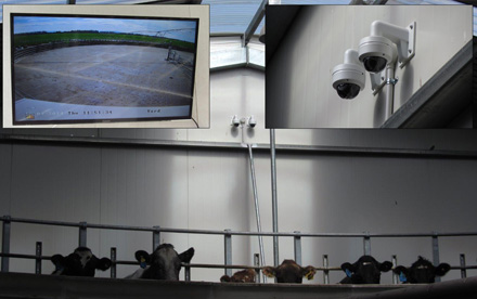 Yard and Platform Overview Cameras